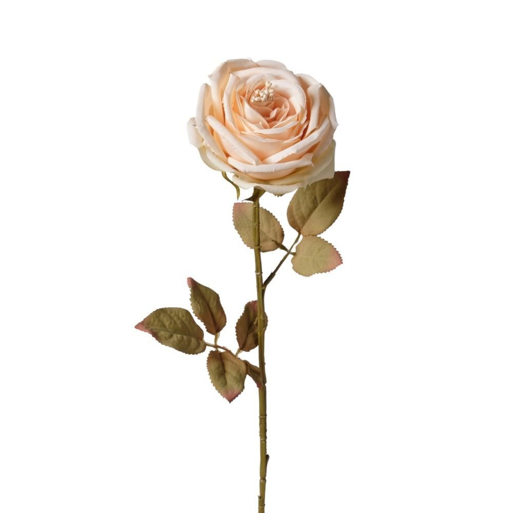 RAMO ROSA SINGOLA CM66 BEIGE